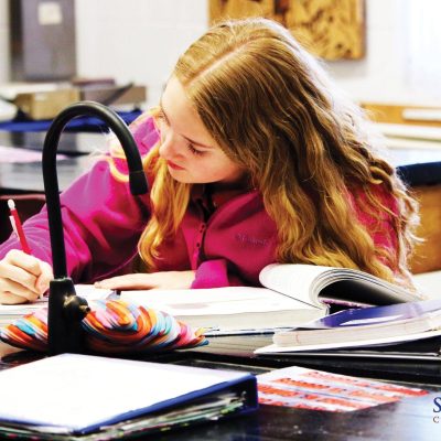 2c6cdc_c66565fbfc27451981a4f273f9482472~mv2