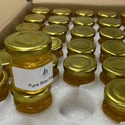 2c6cdc_e106f31bb6814335946d76b9dd8a7aed~mv2